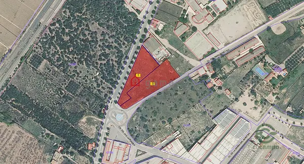 Spot image