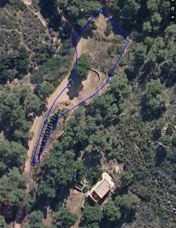 Spot image