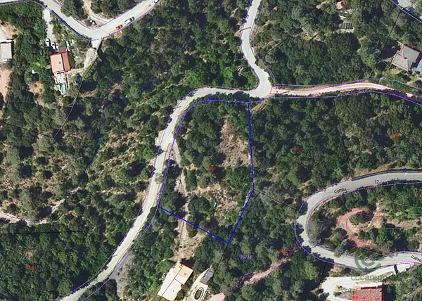 Spot image