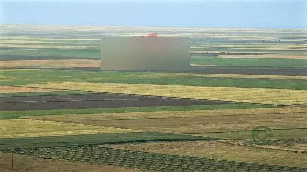 Spot image