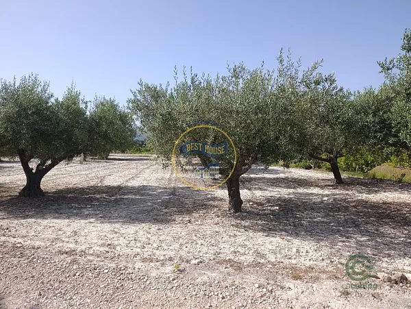 Finca agrícola de 0,2286 ha en venta en Ontinyent, Valencia