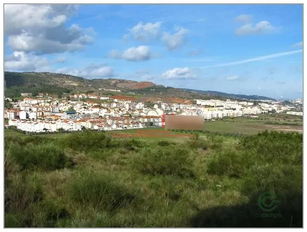 Spot image