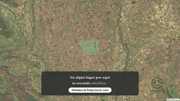 Spot image