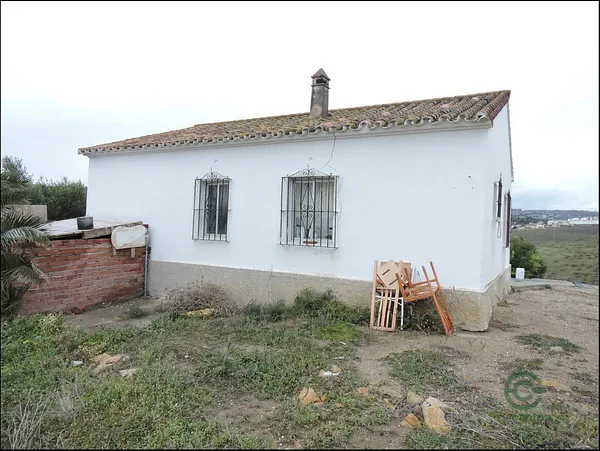 Spot image