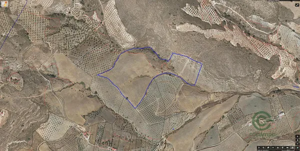 Finca rústica de 4,6751 ha en venta en Albuñuelas, Granada