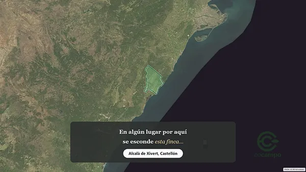 Spot image