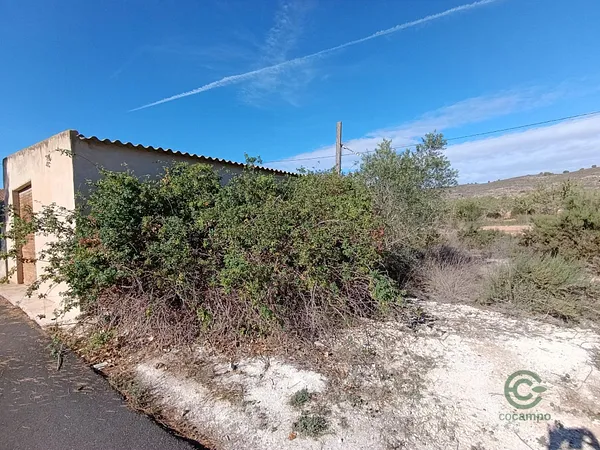 Spot image