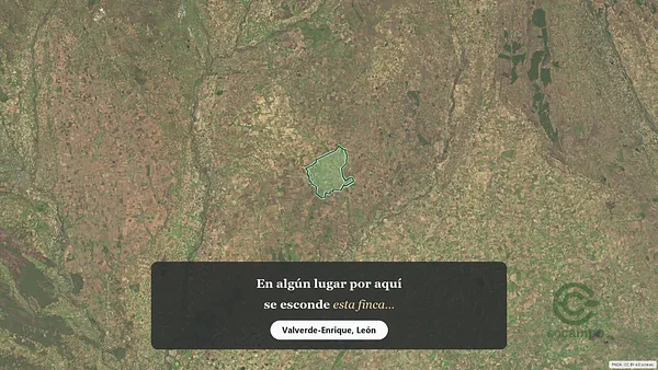 Spot image