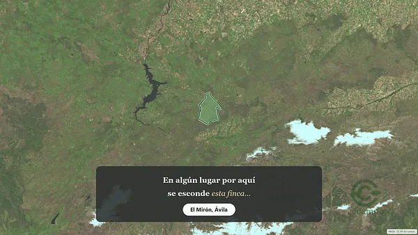 Spot image