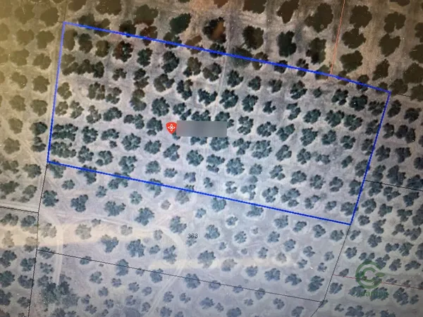 Spot image