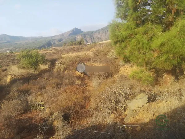 Finca agrícola de 0,38 ha en venta en Arafo, Sta.cruz tener.