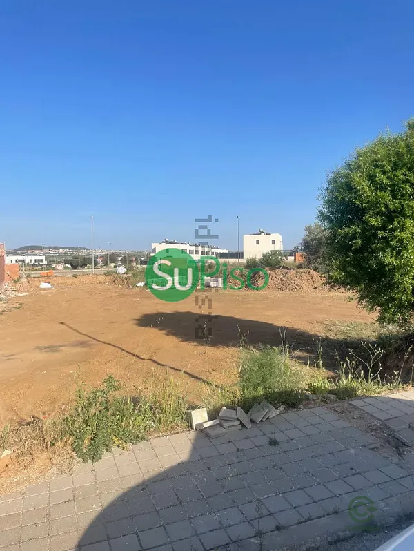 Spot image