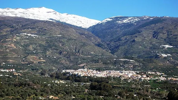 Spot image