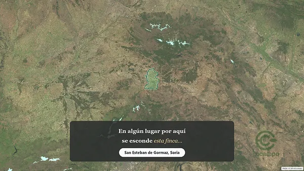 Spot image