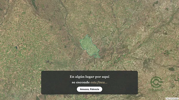 Spot image
