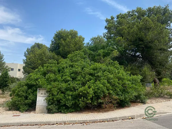 Spot image