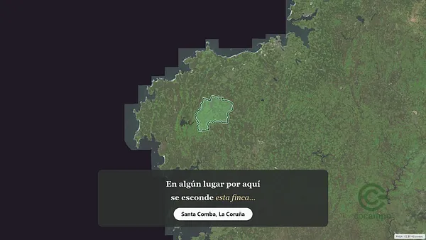 Spot image