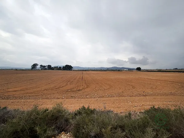 Finca rústica de 1,5 ha en venta en Novelda, Alicante