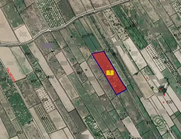 Spot image