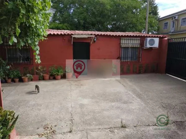 Spot image