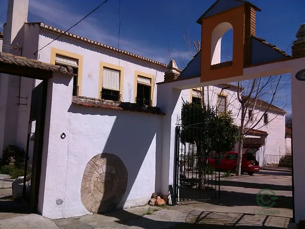 Spot image