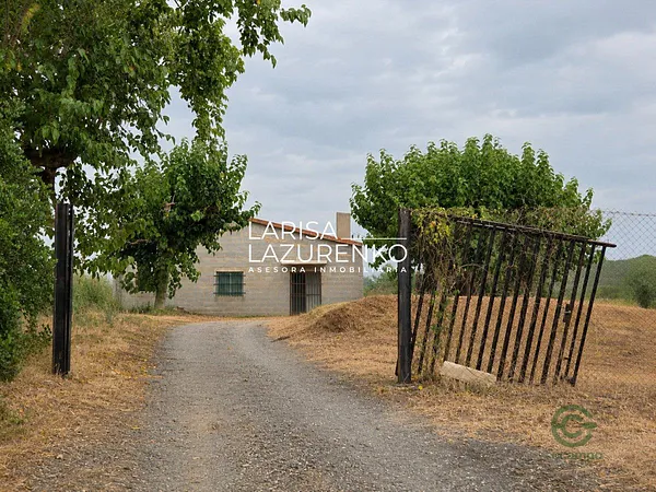 Finca rústica de 4,6744 ha en venta en Riudoms, Tarragona