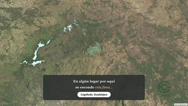 Spot image