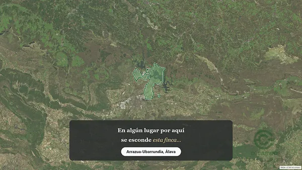 Spot image