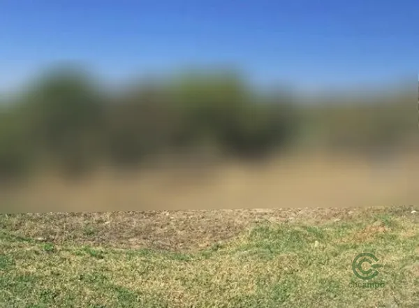 Terreno urbano de 1,2 ha en venta en Córdoba