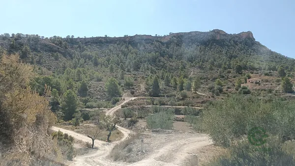 Spot image