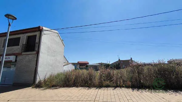 Spot image