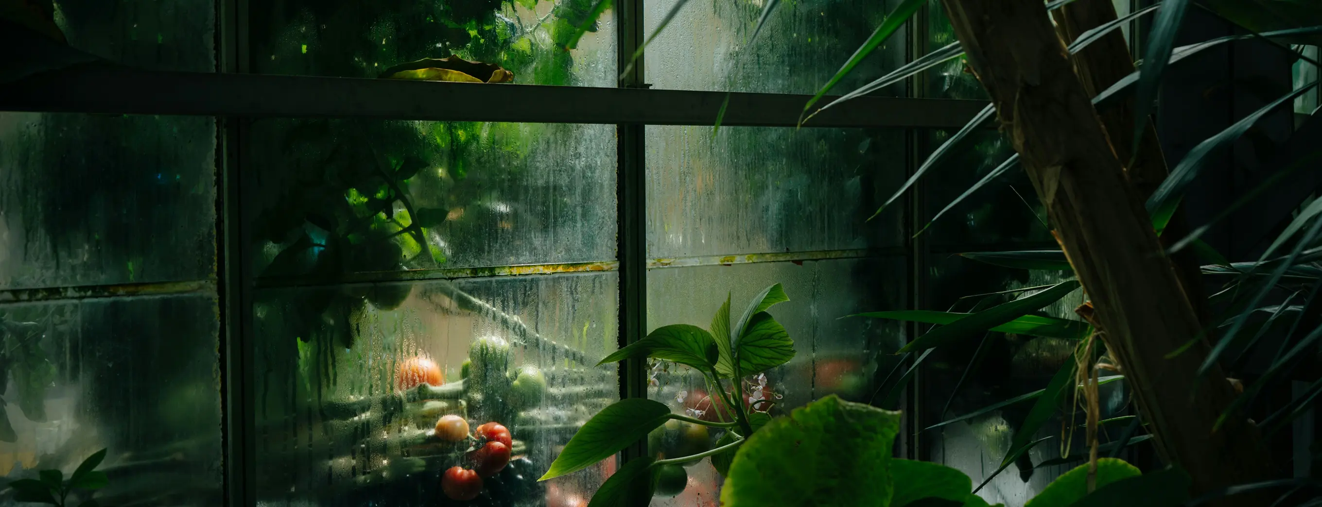 Header Banner